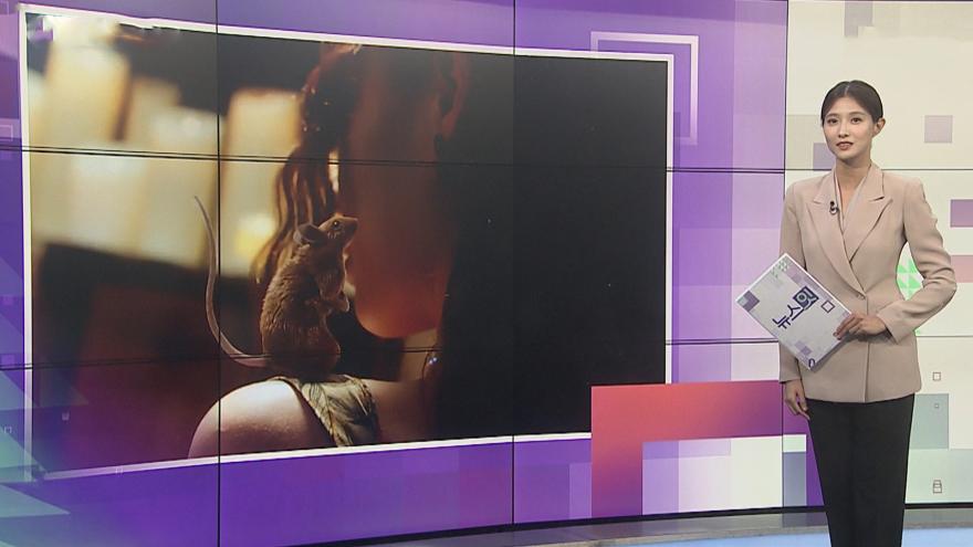 TV ZUM Poster