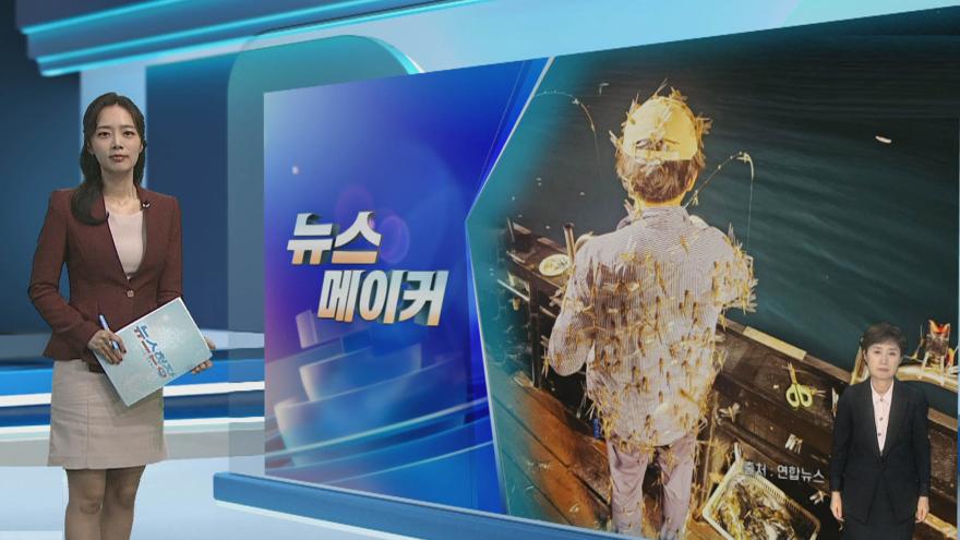 TV ZUM Poster