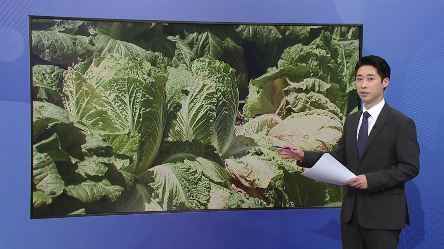 TV ZUM Poster